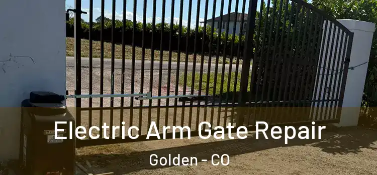 Electric Arm Gate Repair Golden - CO