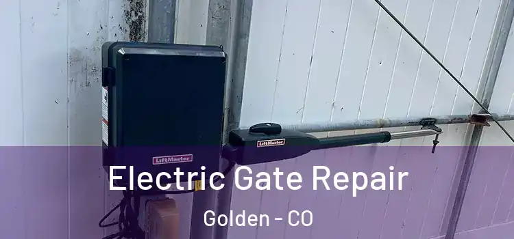 Electric Gate Repair Golden - CO