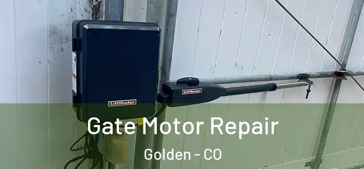Gate Motor Repair Golden - CO
